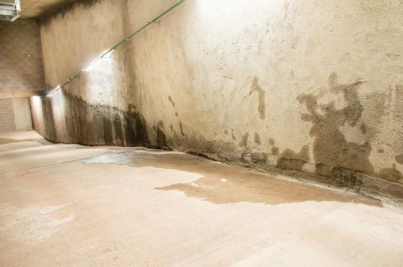 Wet Basement Repair in Tampa, FL